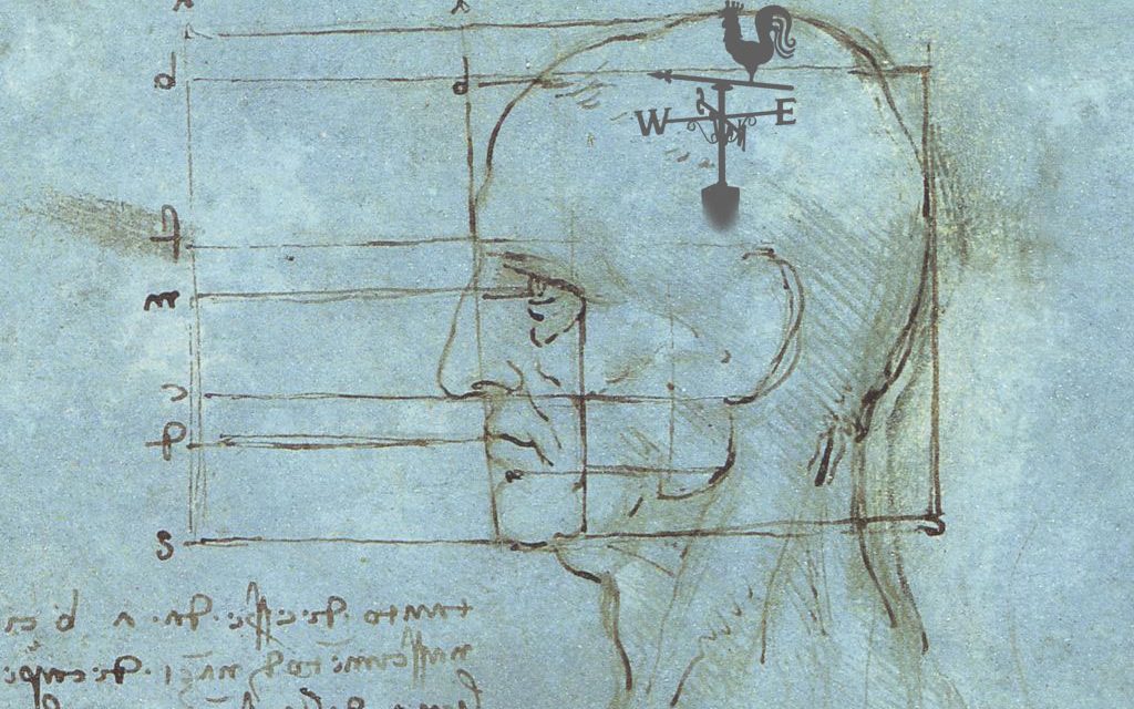 Found: the missing part of brain’s ‘internal compass’